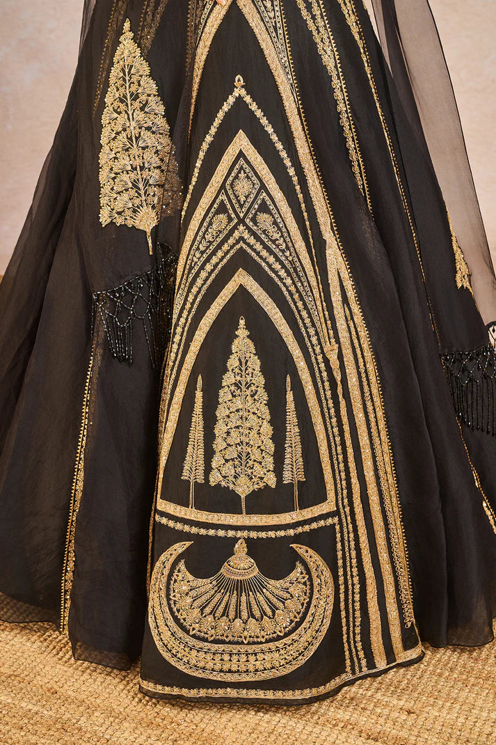 ‘AANKHON KA PAIGAM’ LEHENGA