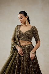 Mehendi Green Lehenga Set