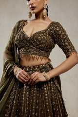 Mehendi Green Lehenga Set