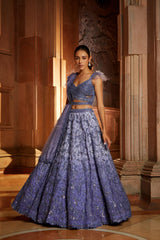 Ink Blue Ombr Organza Choli Dupatta with Worked