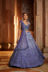 Ink Blue Ombr Organza Choli Dupatta with Worked