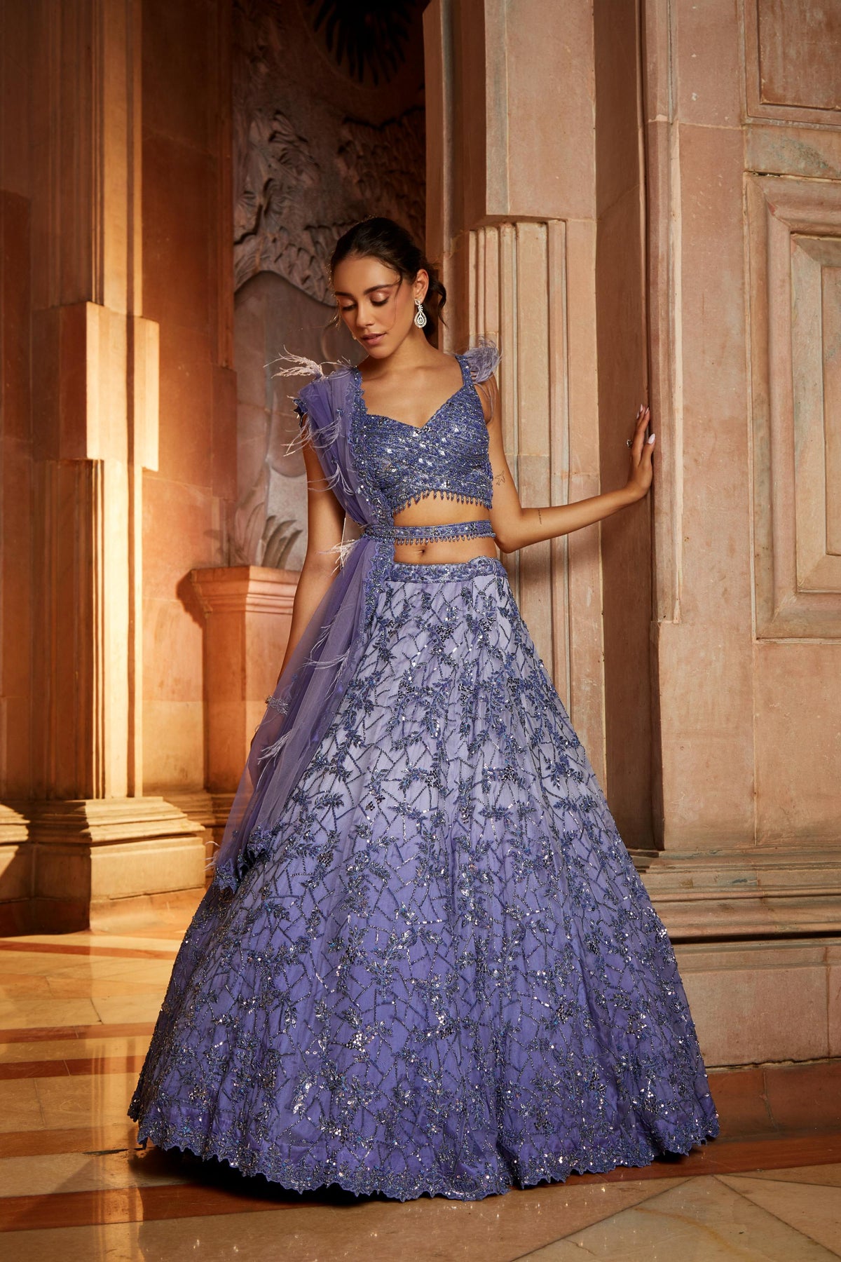Ink Blue Ombr Organza Choli Dupatta with Worked