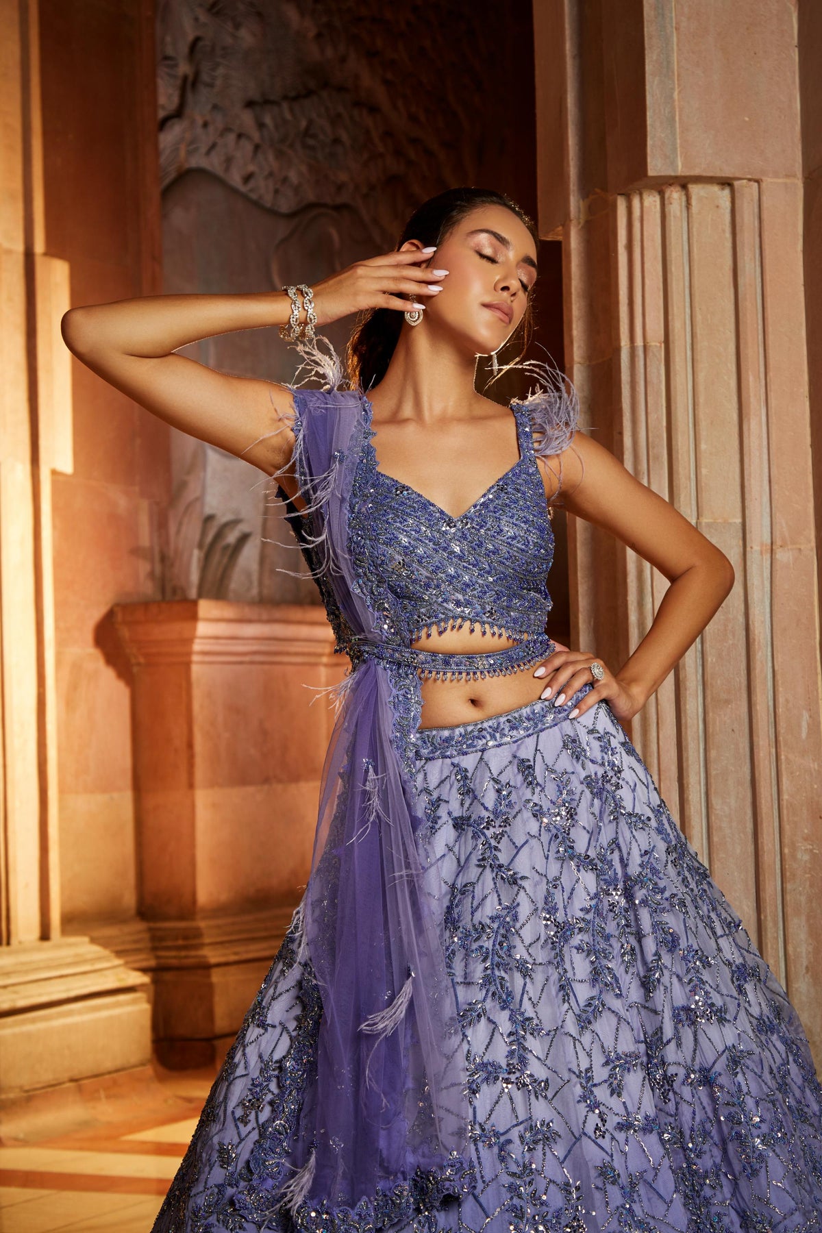 Ink Blue Ombr Organza Choli Dupatta with Worked
