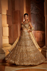 Champagne Gold Tulle Lehenga Choli Dupatta Set with Worked Belt