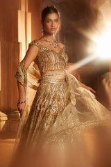 Champagne Gold Tulle Lehenga Choli Dupatta Set with Worked Belt