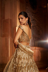 Champagne Gold Tulle Lehenga Choli Dupatta Set with Worked Belt