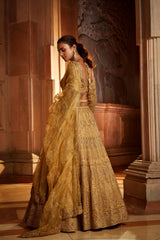 Gold Organza Lehenga Choli Dupatta with Worked Belt