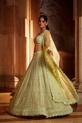 Lime Green Tulle Lehenga Choli Dupatta Set