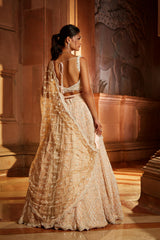 Nude Pink Tulle Lehenga Choli Dupatta Set with Worked Belt