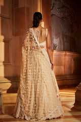 Nude Pink Tulle Lehenga Choli Dupatta Set with Worked Belt