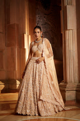 Peach Tulle Lehenga Choli Dupatta Set