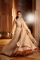 Peach Tulle Lehenga Choli Dupatta Set