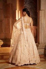 Peach Tulle Lehenga Choli Dupatta Set