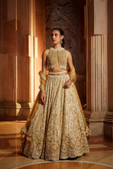 Gold Tulle Lehenga Choli Dupatta Set with Worked Belt