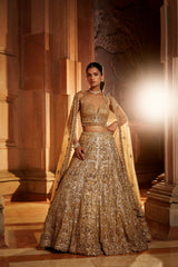 Gold Tulle Lehenga Choli Set