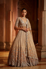 Mushroom Ombr Dyed Organza Lehenga Choli Set with Tulle Dup