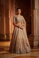 Mushroom Ombr Dyed Organza Lehenga Choli Set with Tulle Dup
