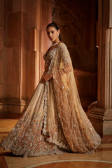 Mushroom Ombr Dyed Organza Lehenga Choli Set with Tulle Dup