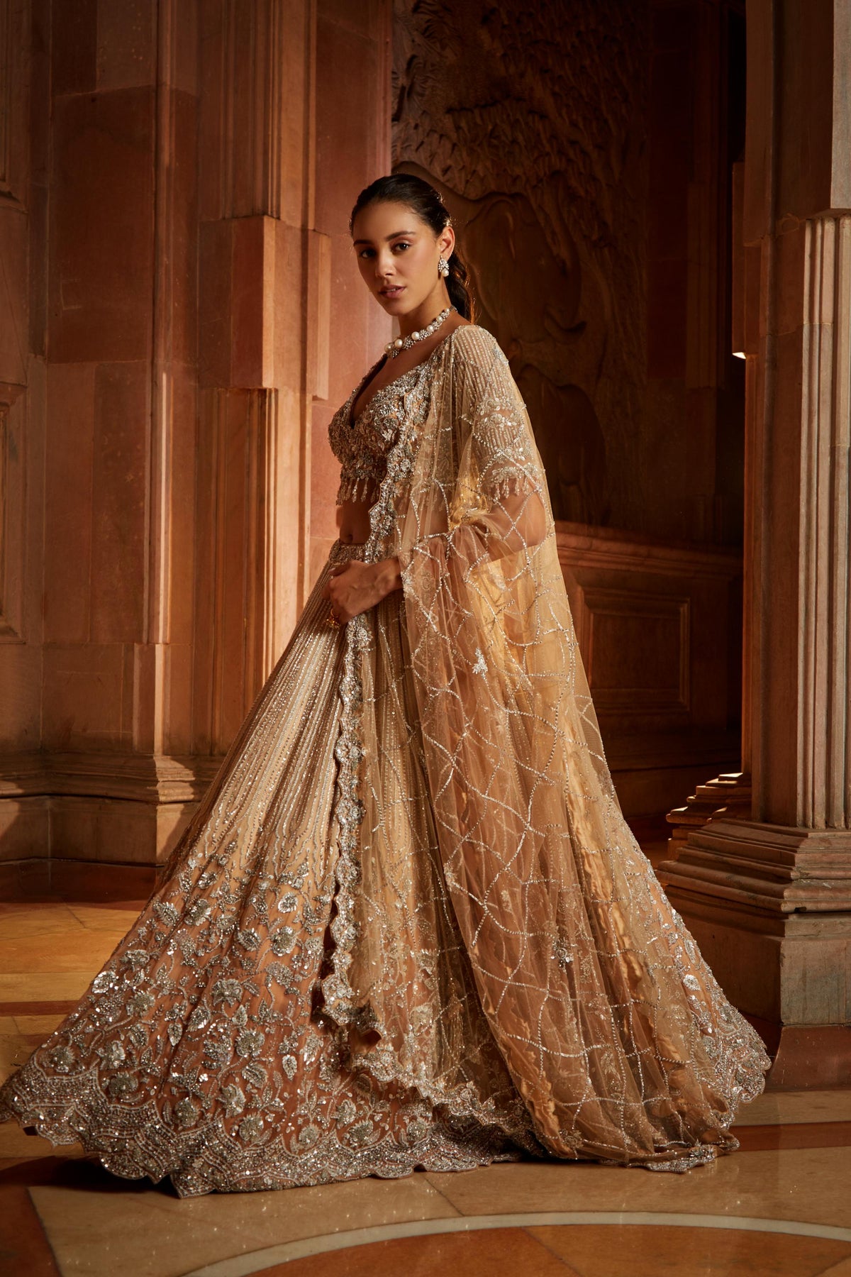 Mushroom Ombr Dyed Organza Lehenga Choli Set with Tulle Dup