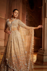 Mushroom Ombr Dyed Organza Lehenga Choli Set with Tulle Dup