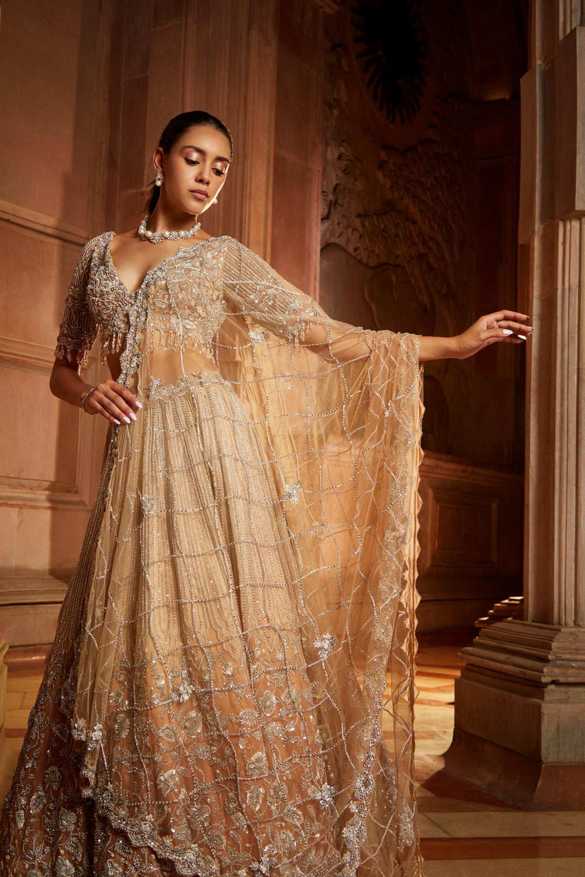 Mushroom Ombr Dyed Organza Lehenga Choli Set with Tulle Dup