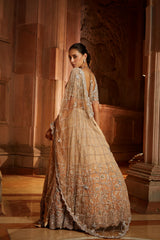 Mushroom Ombr Dyed Organza Lehenga Choli Set with Tulle Dup