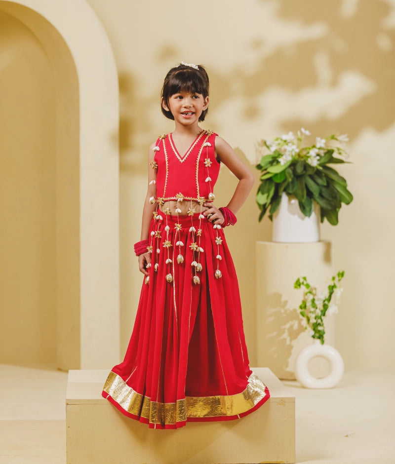 Pink Georgette Lehenga Choli Set