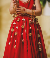 Red Georgette Lehenga Choli Set
