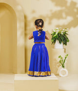 Blue Georgette Lehenga Choli Set