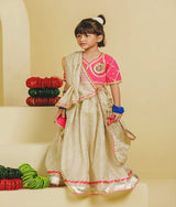 Pink Aangi Choli with Lehenga Set