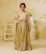 Pista Green Embroidery Lehenga Choli Set