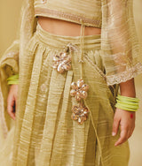 Pista Green Embroidery Lehenga Choli Set