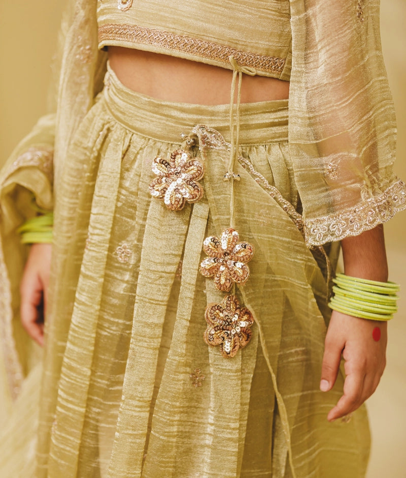 Pista Green Embroidery Lehenga Choli Set
