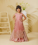 Pink Tissue Organza One Piece Anarkali with Ponchu