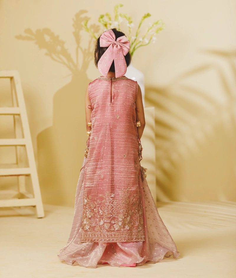 Pink Tissue Organza One Piece Anarkali with Ponchu
