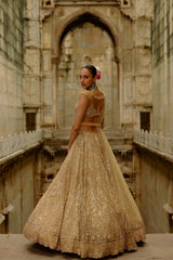Gold Reva Lehenga