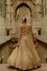 Gold Reva Lehenga