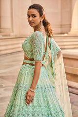 Vibrant Mint Green Tulle Lehenga Choli Dupatta with a Worked Belt