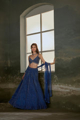 Midnight Blue Lehenga Choli Set