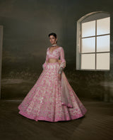 Blush Pink Net Lehenga Choli Set