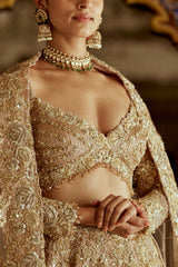 Champagne Sitara Lehenga
