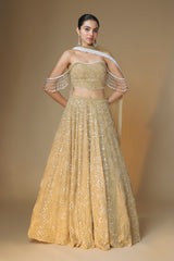 Champagne gold embroidered lehenga and bustier blouse set