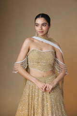 Champagne gold embroidered lehenga and bustier blouse set