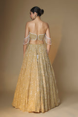 Champagne gold embroidered lehenga and bustier blouse set