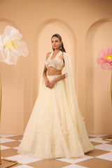 Hand Embroidred with Lehenga & Dupatta