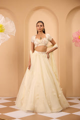 Hand Embroidered Blouse with Lehenga and Dupatta