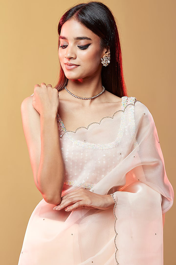 Blush Pink Silk Organza Hand Embroidered Saree