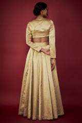 Gold Satin Lehenga Set