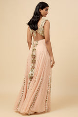 Blush Pink Embroidered Back Tie-Up Choli And Sharara With Dupatta