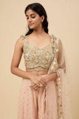 Blush Pink Embroidered Back Tie-Up Choli And Sharara With Dupatta